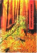 中国北方常见金龟子彩色图鉴   1997  PDF电子版封面  7503818832  刘广瑞等主编 