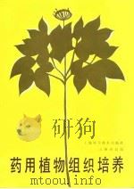 药用植物组织培养   1986  PDF电子版封面  14119·1856  谢启昆主编 