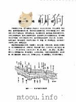 营造法原   1986  PDF电子版封面  15040·4953  姚承祖著；张至刚增编 