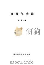 自练气功法   1990  PDF电子版封面    陆恒主编 