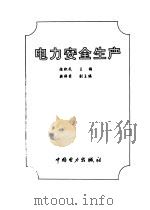 电力安全生产   1999  PDF电子版封面  7801258592  陈积民主编 