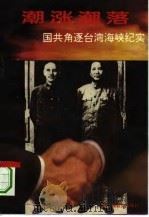 潮涨潮落——国共角逐台湾海峡纪实   1994  PDF电子版封面    地久 