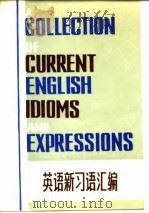 英语新习语汇编（1982 PDF版）
