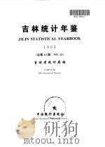 吉林统计年鉴  1999  总第13期   1999  PDF电子版封面  7503729848  吉林省统计局编 