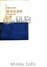 全国电大经济类  政治经济学  社会主义部分   1989  PDF电子版封面  7530908243  李裕宜 