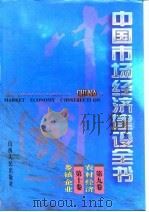 中国市场经济建设全书 第九卷 农村经济 第十卷 乡镇企业     PDF电子版封面    《中国市场经济建设全书》编辑委员会 