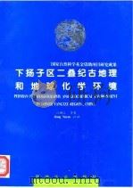 下扬子区二叠纪古地理和地球化学环境（1994 PDF版）