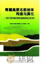 青藏高原北部地体构造与演化  格尔木－额济纳旗地学断面走廊域地质构造与演化研究   1996  PDF电子版封面  7116022201  陈炳蔚等著 