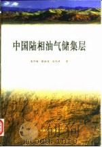 中国陆相油气储集层（1997 PDF版）