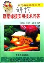 蔬菜嫁接实用技术问答（1999 PDF版）