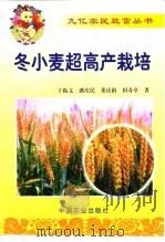 冬小麦超高产栽培（1999 PDF版）