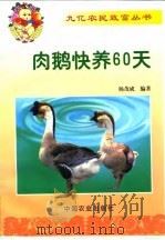 肉鹅快养60天（1999 PDF版）