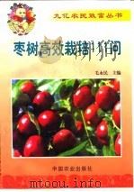 枣树高效栽培111问（1999 PDF版）
