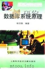 数据库系统原理   1999  PDF电子版封面  7543914387  徐洁磐编著 