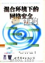 混合环境下的网络安全（1998 PDF版）