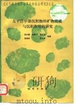 太平洋中部沉积物的矿物组成与沉积作用的研究   1993  PDF电子版封面  7116013733  吴必豪等著 