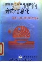 奔向信息化  简述“三金工程”的历史意义   1995  PDF电子版封面  7505329588  王直华等编著 