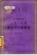 1918年德国十一月革命   1990  PDF电子版封面  7100008662  邸文选译 