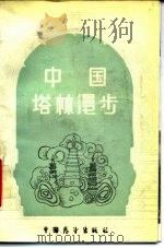 中国塔林漫步   1989  PDF电子版封面  7505000810  周沙尘主编；徐伯安著 