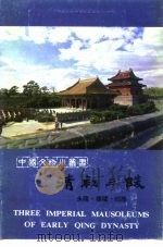 清初三陵 永陵·福陵·昭陵   1982年12月第1版  PDF电子版封面    沈阳市文物管理办公室 