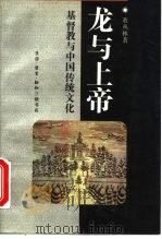 龙与上帝  基督教与中国传统文化   1992  PDF电子版封面  7108004917  董丛林著 