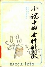 小说中的女性形象   1985  PDF电子版封面  10109·1886  吴宗惠著 