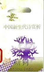 中国新生代诗赏析   1991  PDF电子版封面  7800301575  朱子庆编著 