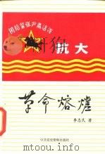 革命熔炉   1985  PDF电子版封面  11310·31  李志民著 