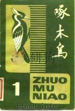啄木鸟  第1期  文艺丛刊（1980 PDF版）