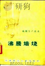沸腾焙烧   1978  PDF电子版封面    硫酸生产技术，南京化学工业公司氮肥厂 