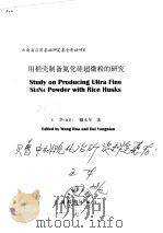 用稻壳制备氮化硅超微粉的研究   1997  PDF电子版封面  7541609382  王华，戴永年著 