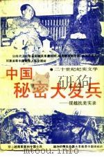 中国秘密大发兵  援越抗美实录（1992 PDF版）