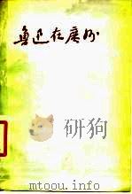 鲁迅在广州   1977  PDF电子版封面  11111·29  中山大学中文系编；汤小铭绘 