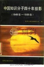 中国知识分子四十年掠影  1949-1989   1989  PDF电子版封面  7800144771  光明日报新闻研究所编 