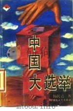 中国大选举   1989  PDF电子版封面  7540404353  杨民青著 