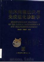 临床病理组织与免疫组化诊断学   1999  PDF电子版封面  7562704465  陈尚采，孙曼罗编著 