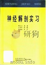 神经解剖实习   1995  PDF电子版封面  7810343807  臧玉洤原著；王历辛修编 