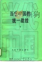 当代中国的统一战线  下   1996  PDF电子版封面  7800924440  江平 