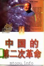 中国的第二次革命   1997  PDF电子版封面  7307025256  毛磊等著 
