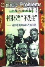 中国不当“不先生”  当代中国的国际战略问题   1998  PDF电子版封面  7507208958  沈骥如著 