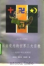 云南境内的世界三大宗教  地域宗教比较研究   1993  PDF电子版封面  7222014004  杨学政等著 