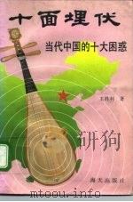 十面埋伏  当代中国的十大困惑（1993 PDF版）