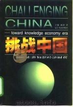 挑战中国  走进知识经济时代   1998  PDF电子版封面  720504359X  于越，康剑著 