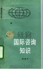 国际咨询知识   1992  PDF电子版封面  7010009953  邵望予编著 