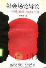 社会场论导论  中国：困惑、问题及出路   1992  PDF电子版封面  7562208700  潘德冰著 