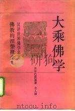 大乘佛学  佛教的涅岁概念（1994 PDF版）