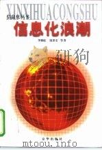 信息化浪潮   1998  PDF电子版封面  7806002820  李湘虹等著 