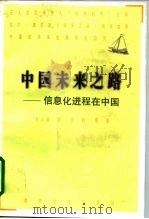 中国未来之路  信息化进程在中国   1998  PDF电子版封面  7305031607  鲁品越等著 