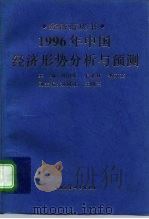 1996年中国经济形势分析与预测（1995 PDF版）