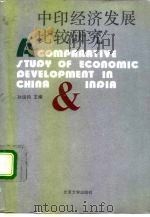 国家社会科学重点研究课题  中印经济发展比较研究（1991年03月第1版 PDF版）
